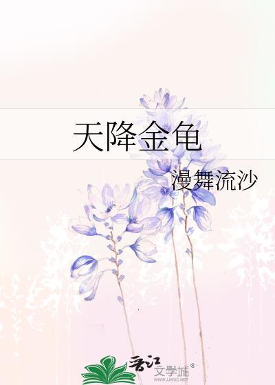 天降金龟