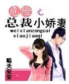 危险总裁小娇妻