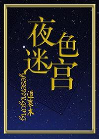 夜色迷宫