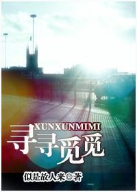 寻寻觅觅