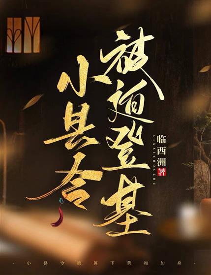 小县令被迫登基