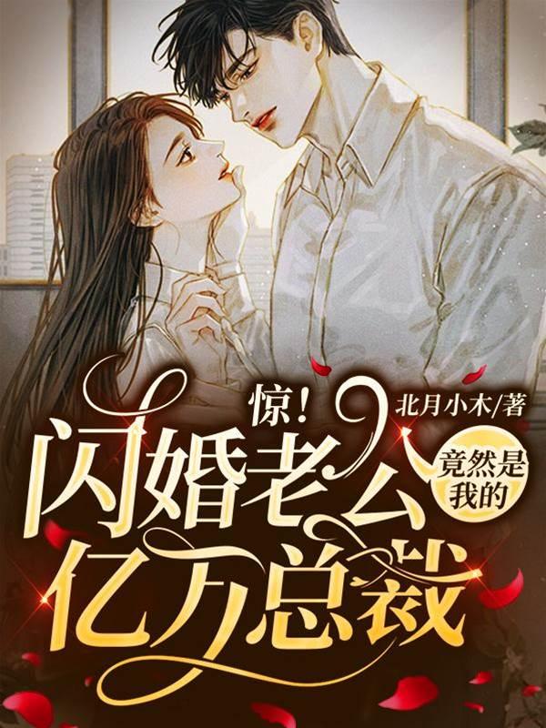 惊!闪婚老公竟是我的亿万总裁