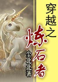 穿越之炼石者