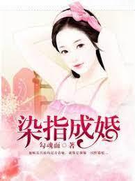 染指成婚：陆少轻点宠