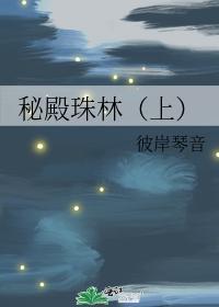 秘殿珠林（上）