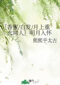 ［香蜜白发月上重火同人］明月入怀