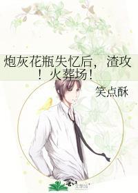炮灰花瓶失忆后,渣攻!火葬场