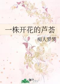 一株开花的芦荟