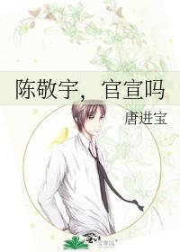陈敬宇,官宣吗