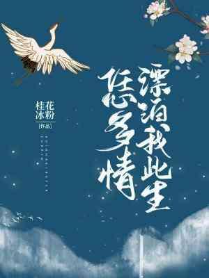 漂泊我此生恁多情