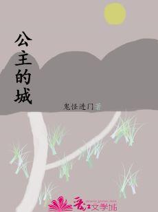 公主的城