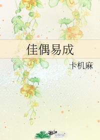 佳偶易成