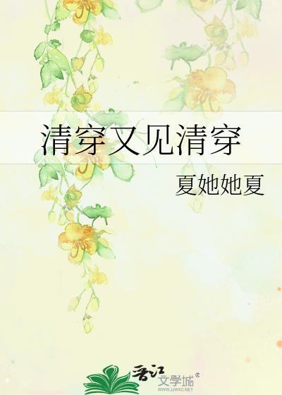 清穿又见清穿