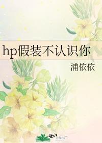 hp假装不认识你