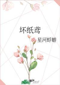 坏纸鸢