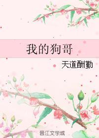 我的狗哥