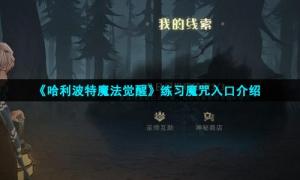 《哈利波特魔法觉醒》练习魔咒入口介绍