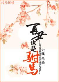 再丑也是驸马