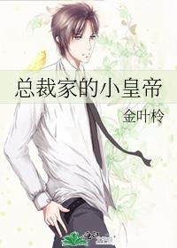 总裁家的小皇帝