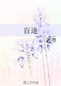 盲途