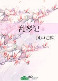 乱琴记