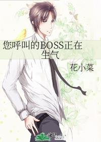 您唿叫的BOSS正在生气