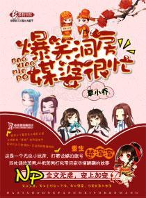 爆笑洞房:媒婆很忙
