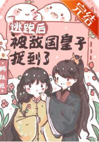 逃跑后被敌国皇子捉到了