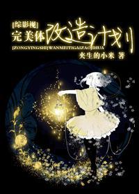 [综影视]完美体改造计划