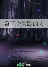 第三个失踪的人