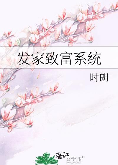 发家致富系统