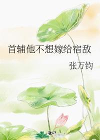 首辅他不想嫁给宿敌
