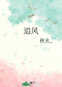 追风