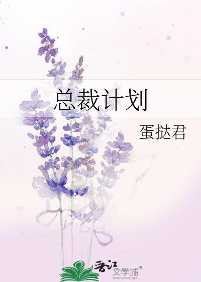 总裁计划