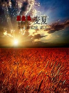 重生之麦夏
