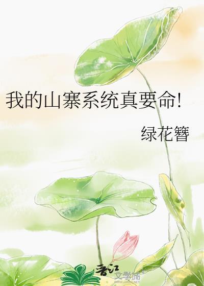 我的山寨系统真要命!