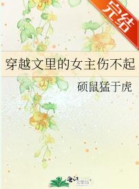 穿越文裏的女主伤不起